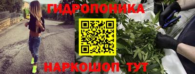 крисы Мариинск