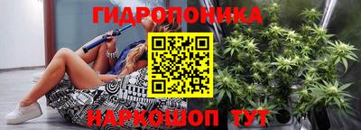 крисы Мариинск