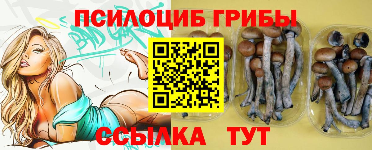 Вышний Волочёк  Галлюциногенные грибы MAGIC MUSHROOMS  закладка  Вход с VPN 