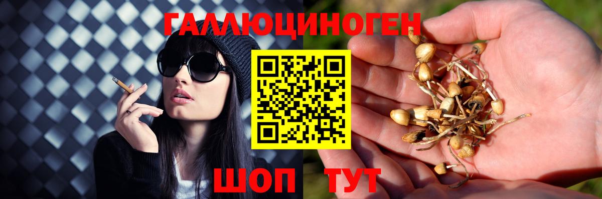 Галлюциногенные грибы Cubensis Вышний Волочёк